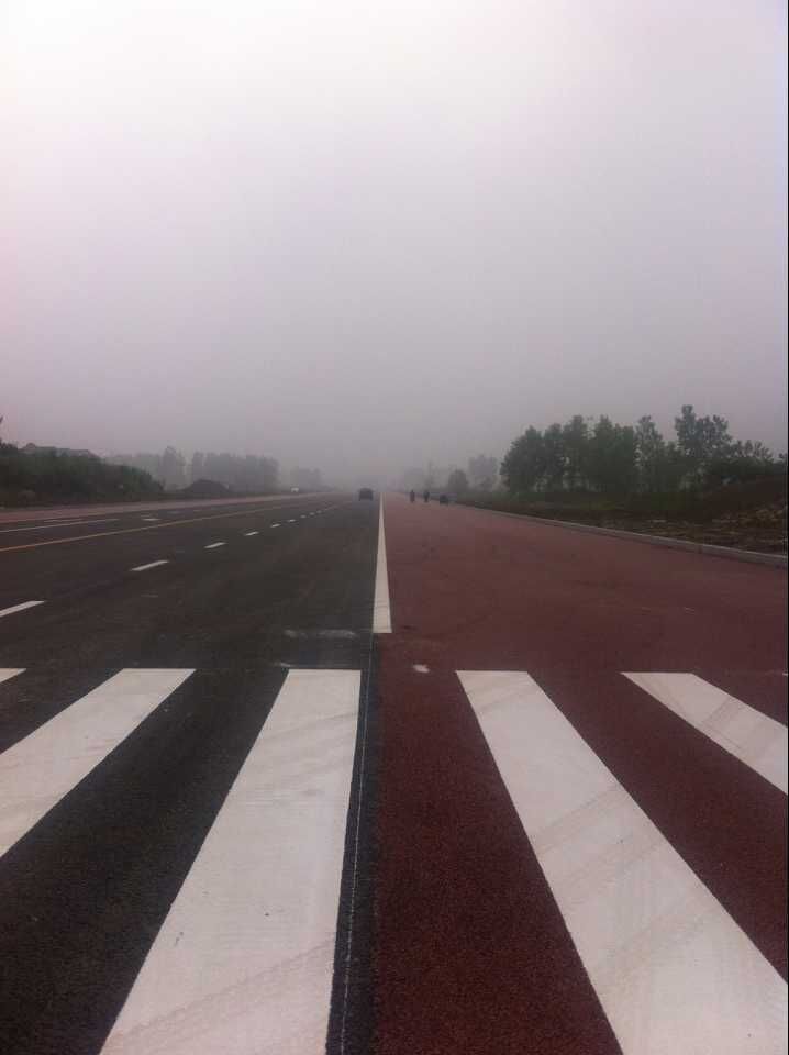 金湖縣城南干道(人民南路-黎農(nóng)河)道路、排水及污水管道工程